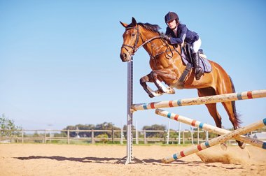 Health News summer 2017 WRMC supports equestrian sports