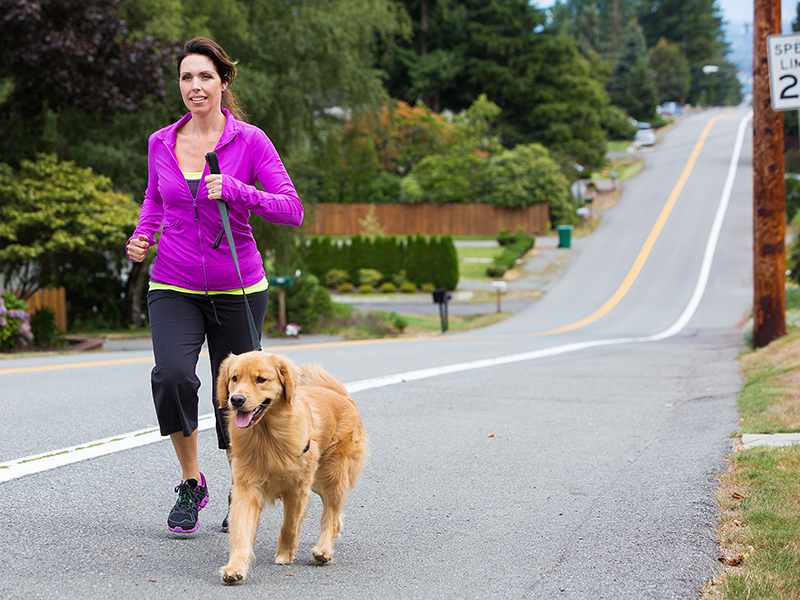 resolutions jogging with dog